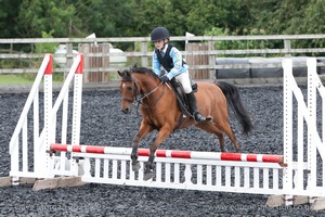 Class 2 -  Fences not above 2'